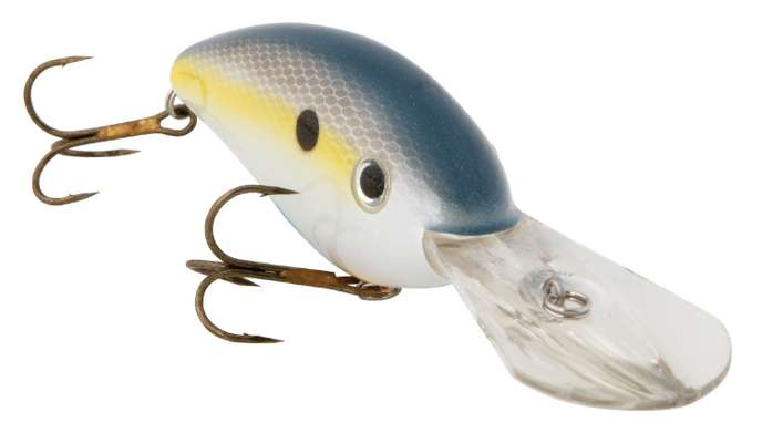 Shrimp Lures OR Paddletails: What Will Get The Most Strikes??? 