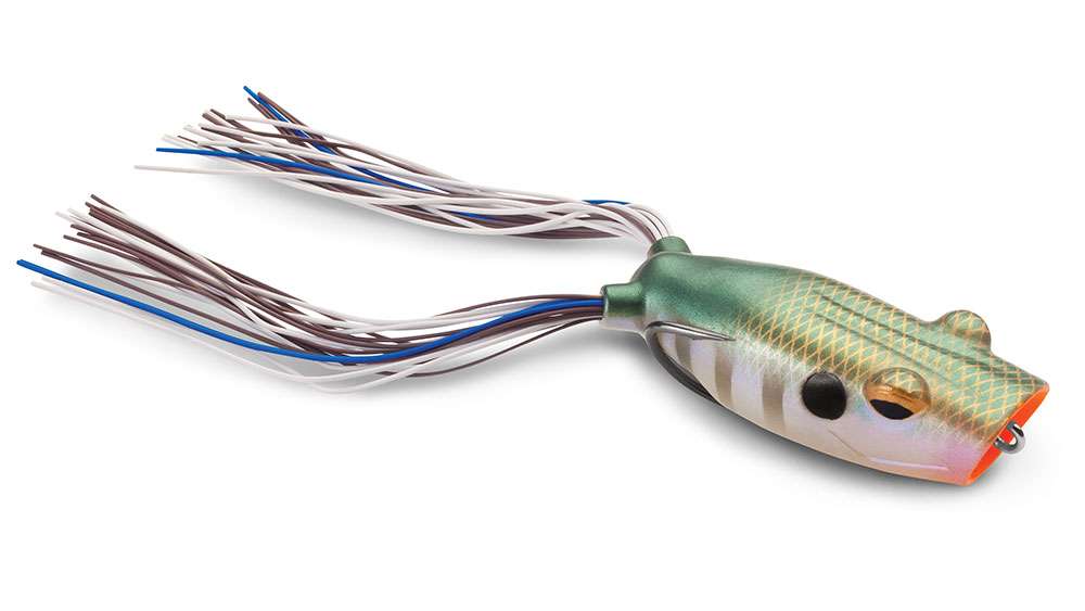 Lure Reviews Archives » Salt Strong Fishing Club