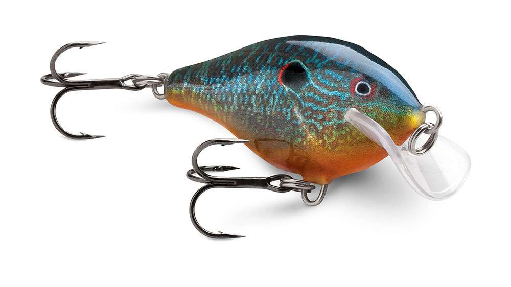  Authentic Handmade Goby Sea Shad Bait Form 5 Inch Soft Plastic  Lure,Medium : Sports & Outdoors