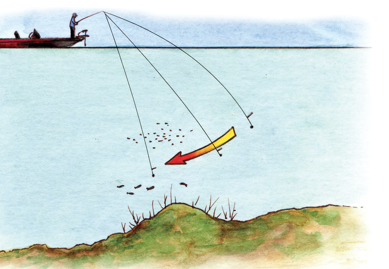 Dropshot Hooks - Fishing methods