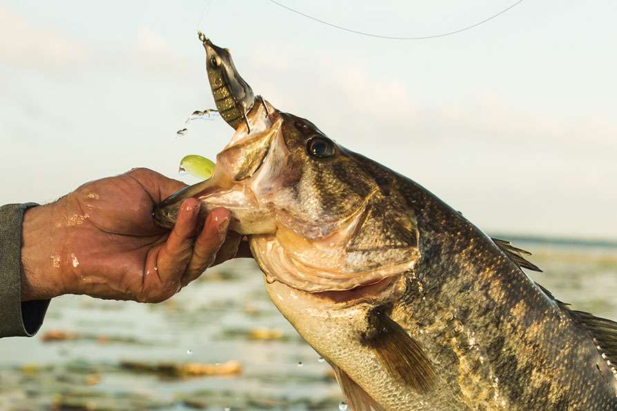 13 Fishing Meta  DICK's Sporting Goods