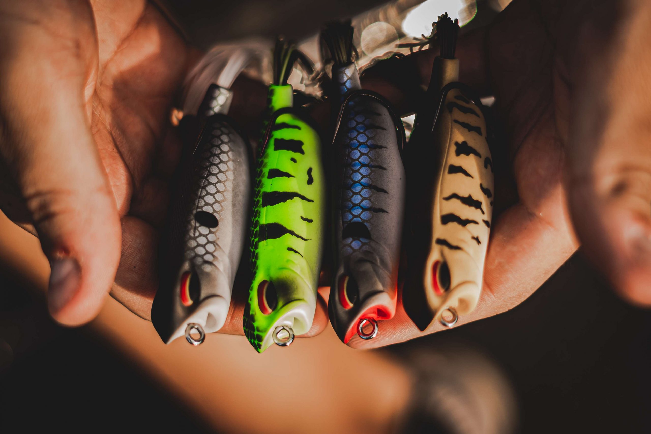 Vega Frogs are Back In Stock! After - 6th Sense Fishing