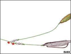 How To Fish The Donkey Rig: The Most Fun Setup In Bass Fishing