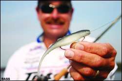  Soft Fishing Lures Bass Fishing Soft Jerk Baits
