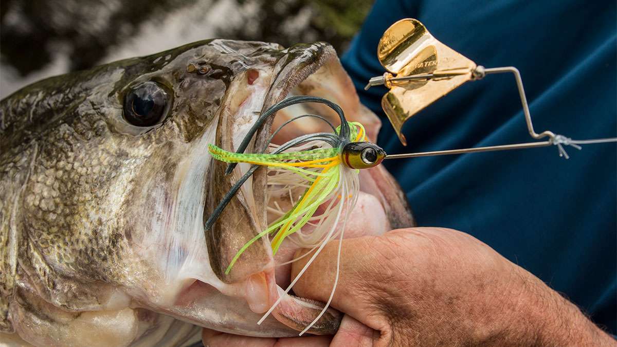 Buzzbait Fishing - You're Probably Doing it Wrong - How to Fish