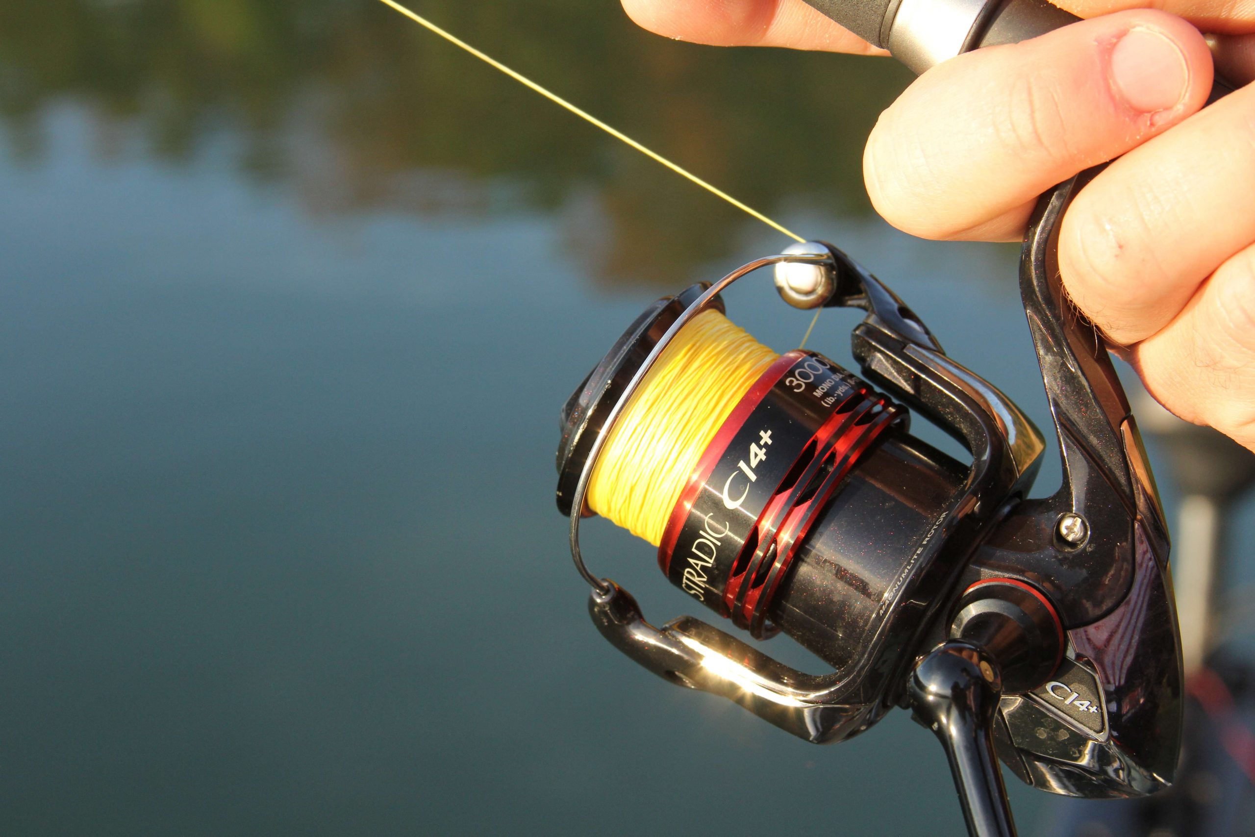 7 Best Braided Fishing Line for Spinning Reels 