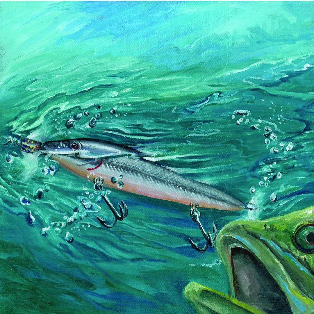 Bass Fishing Paintings