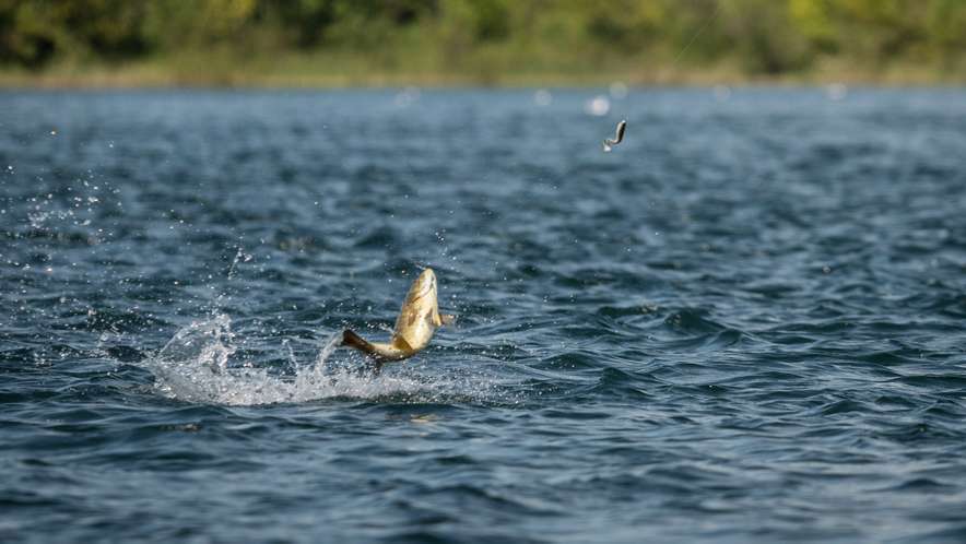 Afternoon with Kennedy and Menendez - Bassmaster