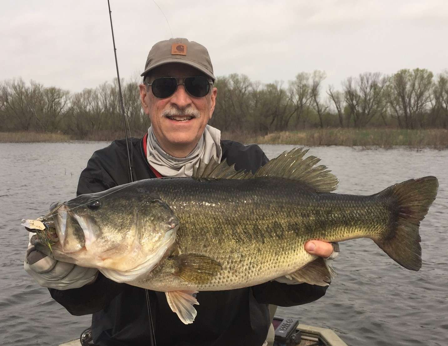 The mathematics of trophy largemouth bass management Bassmaster