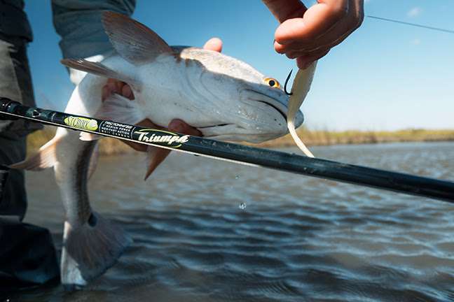 Fishing for Snook and Specks in the Fall
