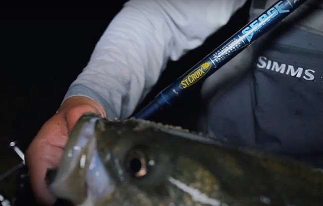 St.Croix Trout Series Spinning Rods – Fishing World