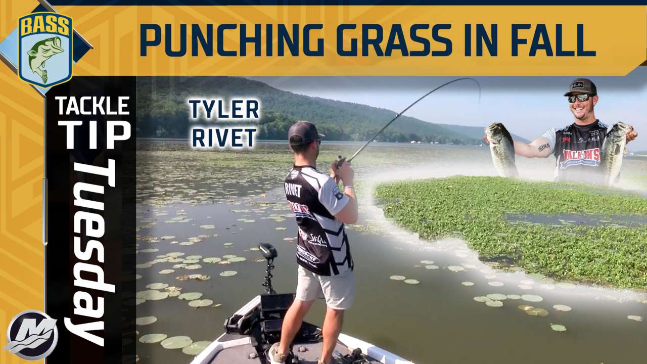 Tackle Tip Tuesday: Punching grass with Rivet - Bassmaster