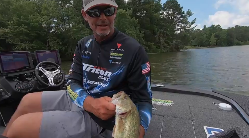 1-Minute Angler: Largemouth vs. spotted - Bassmaster