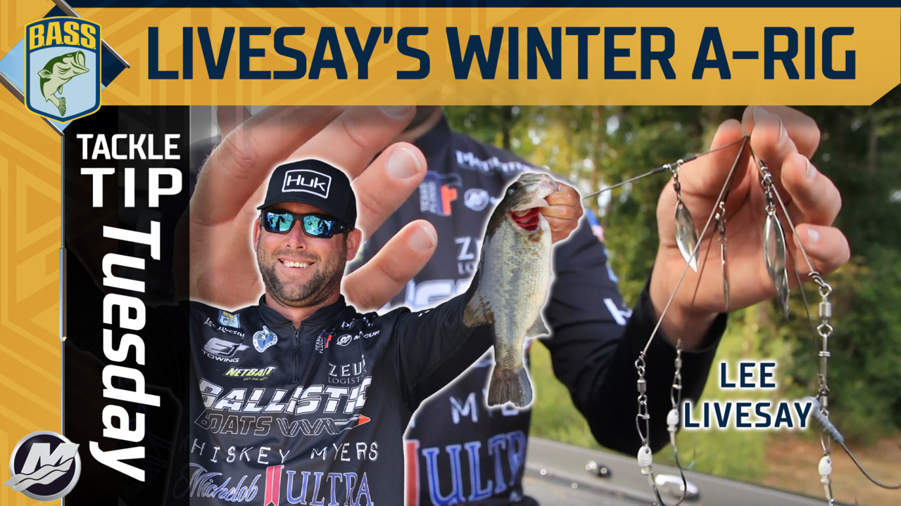 Livesay's favorite lure for winter bass fishing - Bassmaster