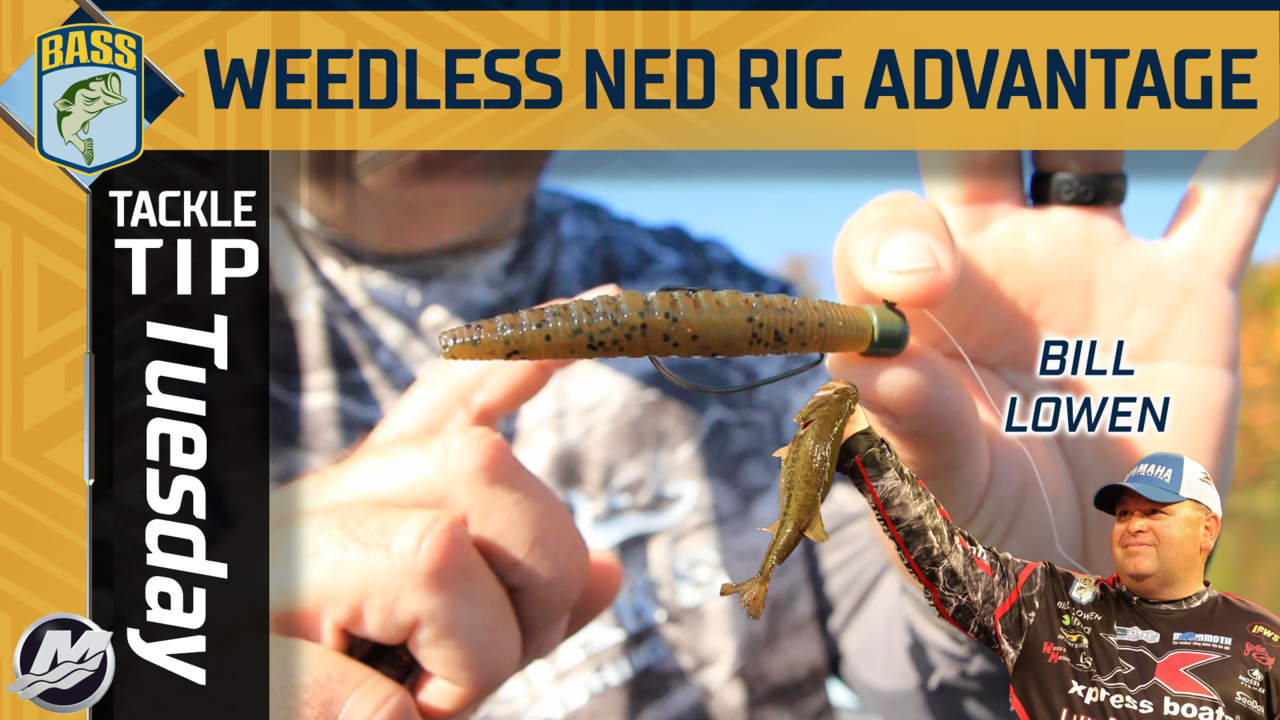Tackle Tip Tuesday: Bill Lowen's shallow advantage of a weedless