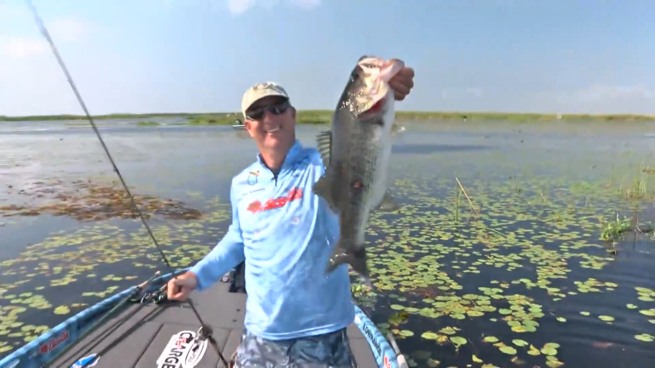 Topwater smallies - Bassmaster