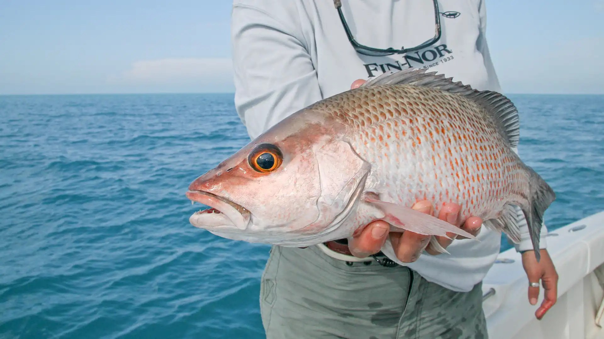 High Mid Low fishing rig-Triple Dropper rig-Deep sea saltwater Atlantic  Redfish