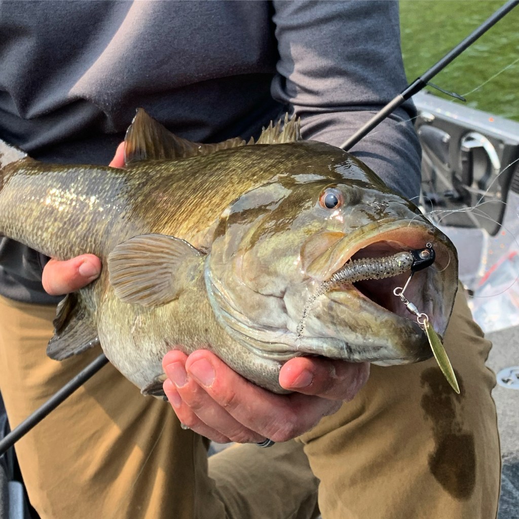 Great Lakes Finesse - 👌The Sneaky Underspin is the “best finesse underspin  ever made” according to customer feedback. We also truly believe it. ✓ 1/0 Owner  Hook ✓ 3D Live Eyes ✓