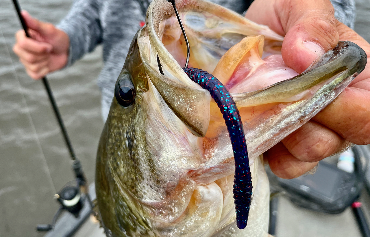 Finesse Worms Bass Fishing