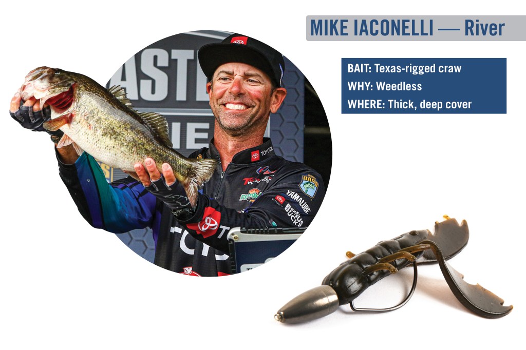 Land of the Giants: Fighting through early fall - Bassmaster