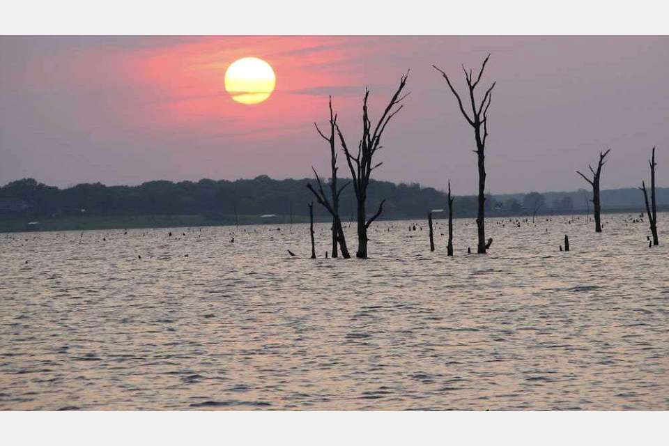 A look at Lake Fork 2024 Bassmaster