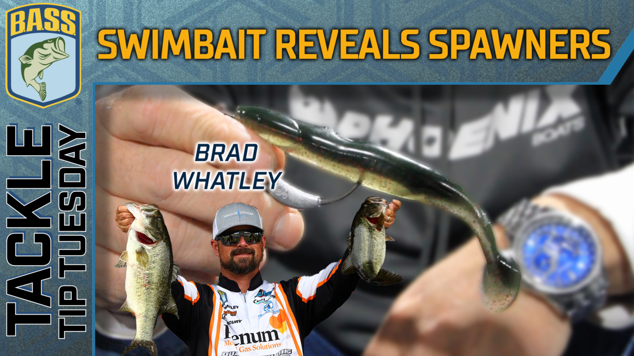 Tackle Tip Tuesday: Reveal and catch spawners with weedless